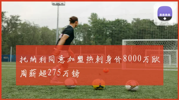 托纳利同意加盟热刺身价8000万欧周薪超275万镑